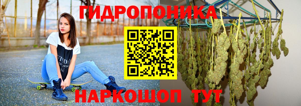 Бошки марихуана семена  Конопля конопля  Анапа  Вход с VPN 